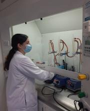 Hydrolysation of raw material_University of limeric.jpg